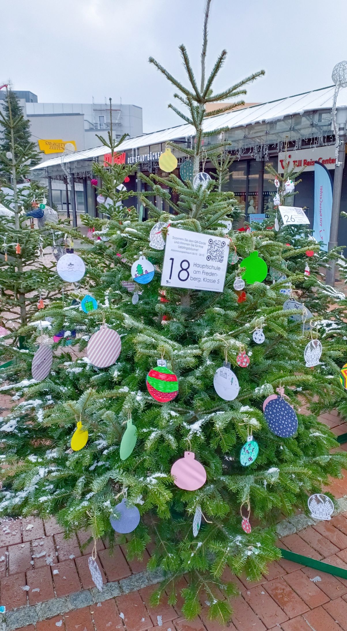BAUM 18 Klasse 5