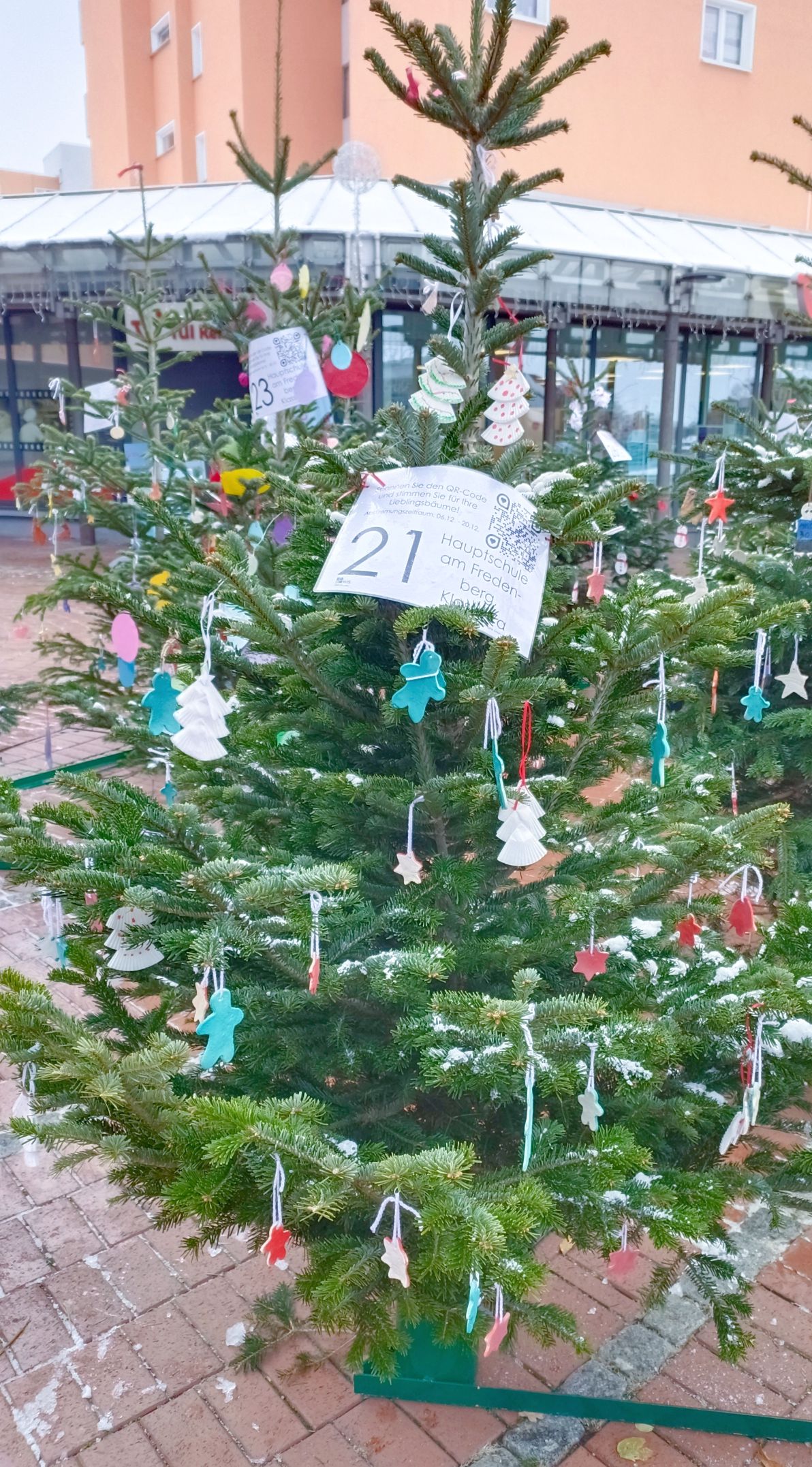 BAUM 21 Klasse 7a