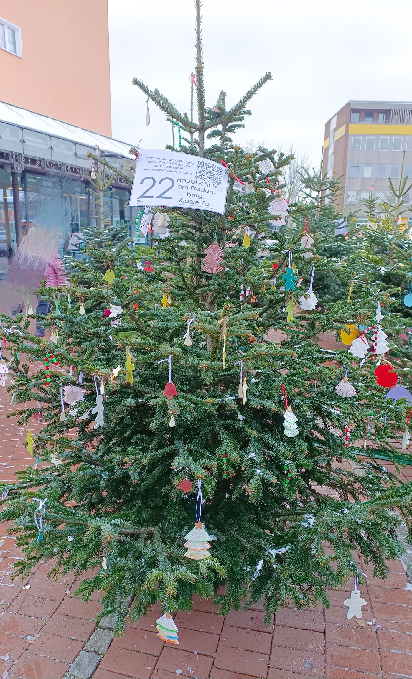 BAUM 22 Klasse 7b