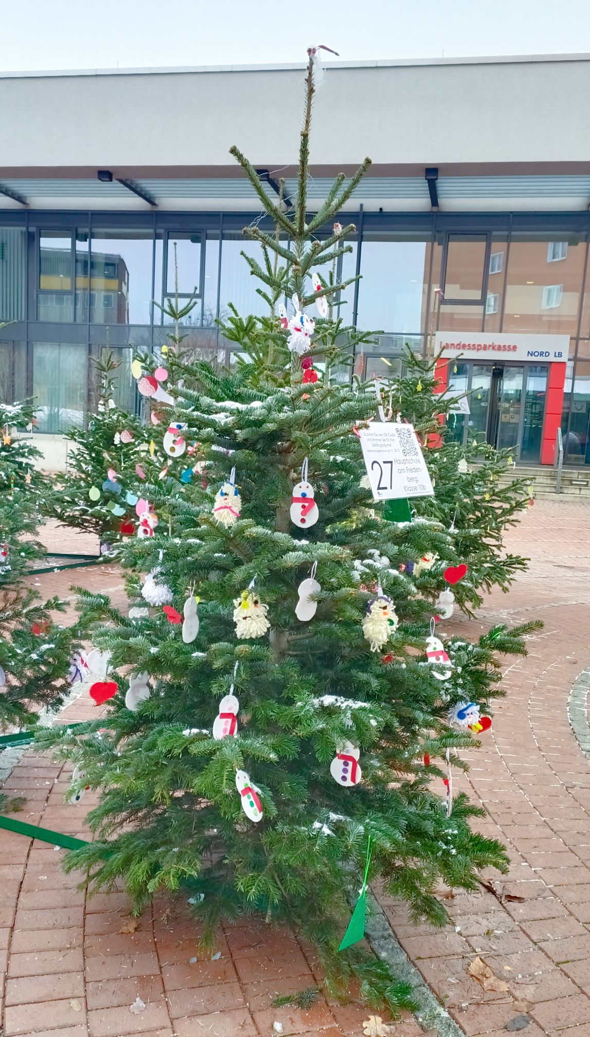 BAUM 27 Klasse 10b